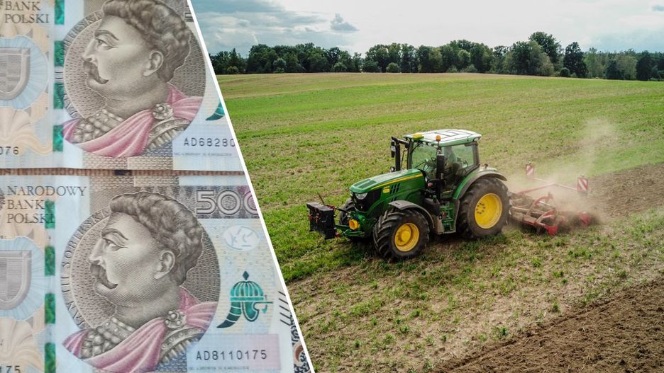 KOWR wydzierżawi 30 gospodarstw w Wielkopolsce. Niski czynsz