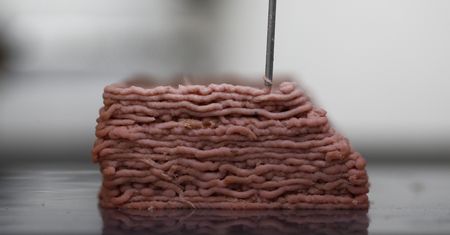 Przyszłość żywności. Mięso z drukarki 3D i hodowle komórkowe