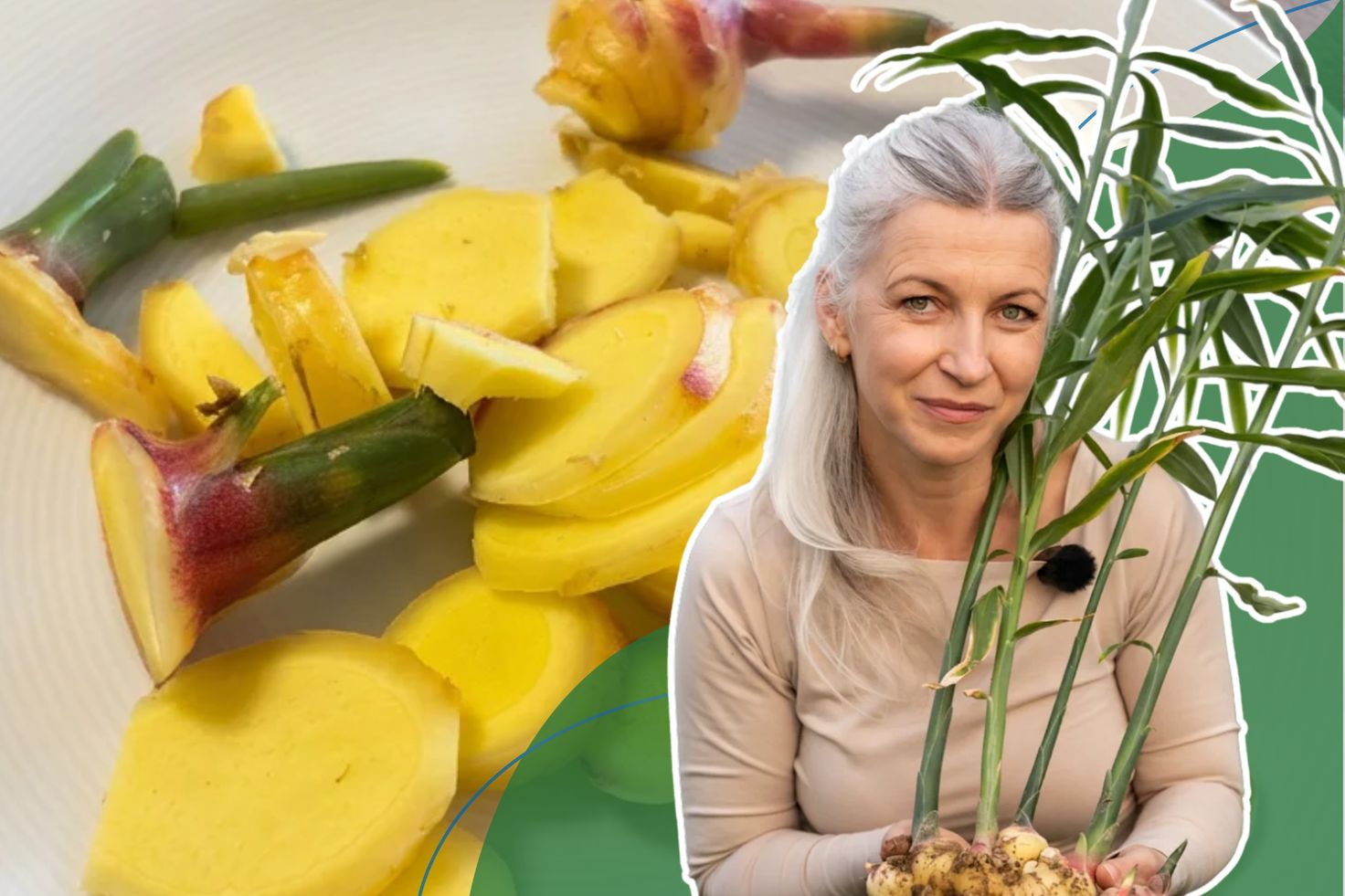Zaczęła od jednej doniczki. Dziś ma pierwszą plantację imbiru w Polsce