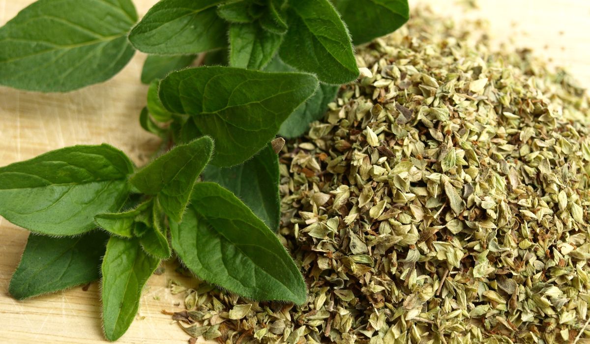 Zamiast oregano kupujemy tanie zamienniki roślinne