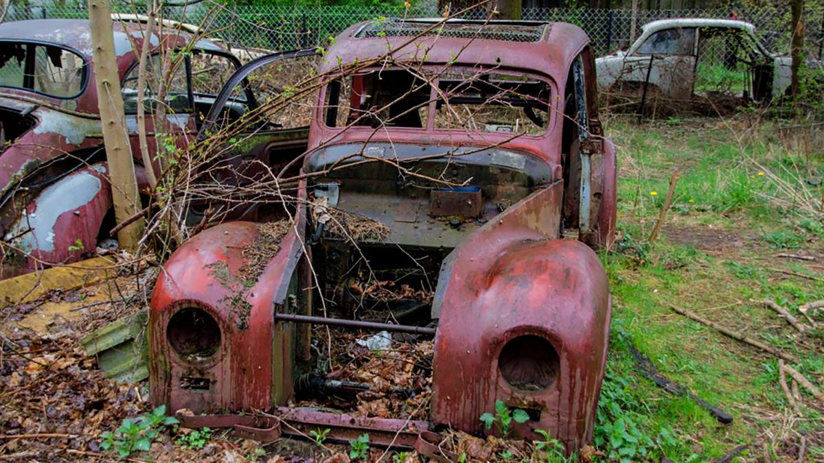 Tajemnicza kolekcja w Grodzisku Mazowieckim. Dzisiaj niszczeje zapomniana przez świat 1
