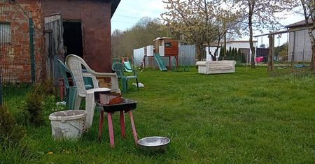 Zwłoki ukryte pod podłogą garażu. "W tym domu mieszkała piątka dzieci"