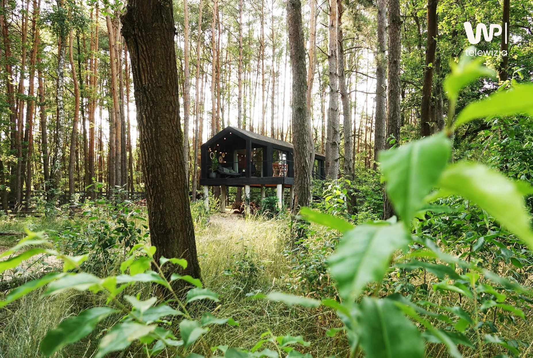 Premiera piątego sezonu "Pomysłu na dom"