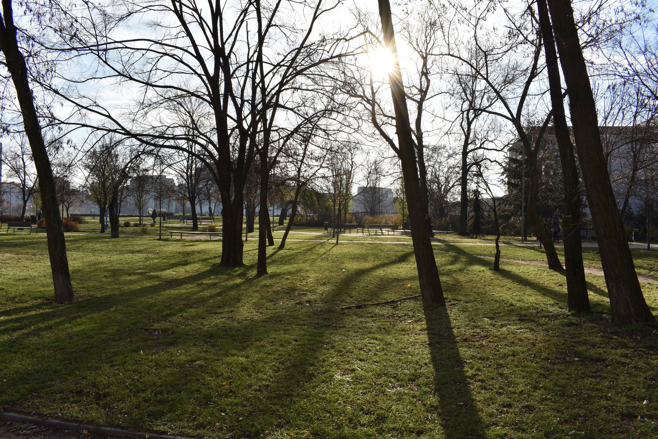 Nikon D3400 - test lustrzanki dla każdego 57