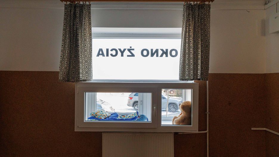 Dwulatek w oknie życia w Katowicach