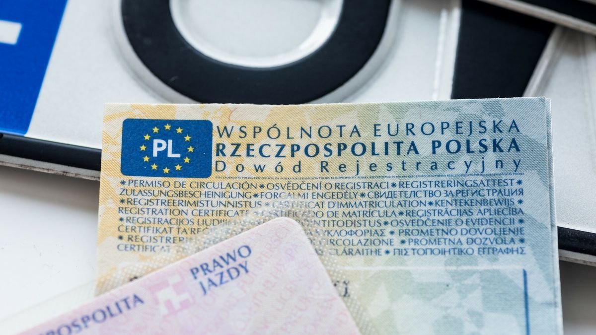 Stock ArZi
fot: Arkadiusz Ziolek/ East News. 09.07.2020.     n/z Dowod rejestracyjny i fragment prawa jazdy na tle tablicy rejestracyjnej.
ARKADIUSZ ZIOLEK