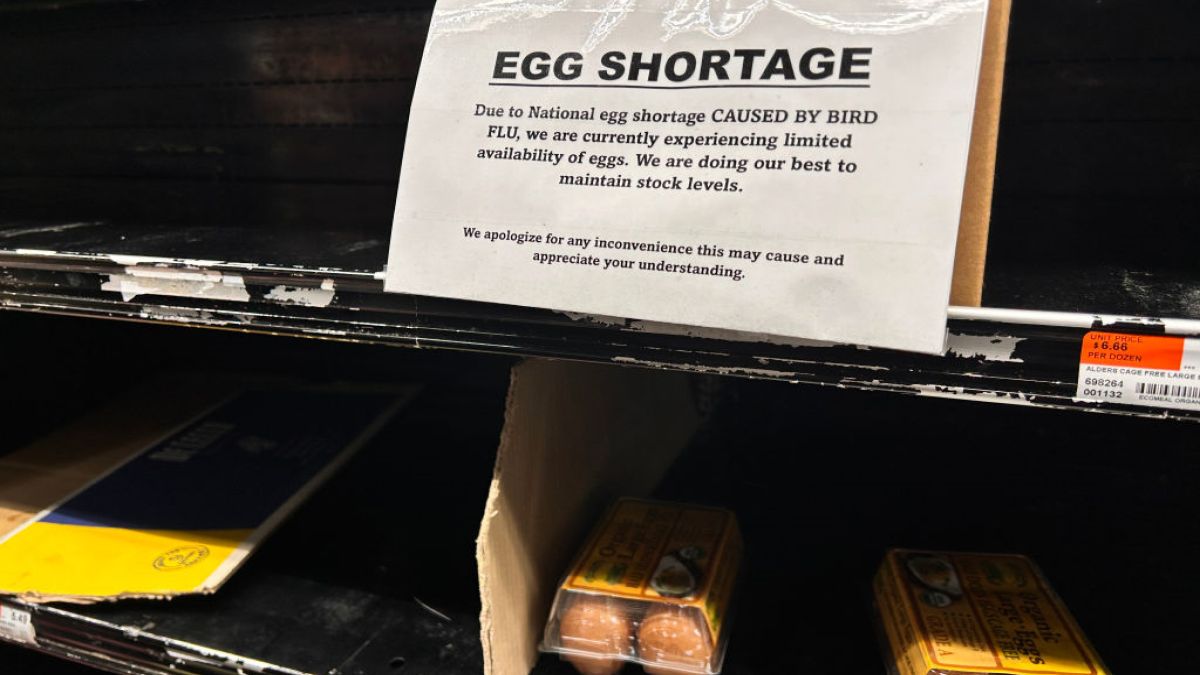 Jajka w USA coraz droższe z powodu inflacji i ptasiej grypy