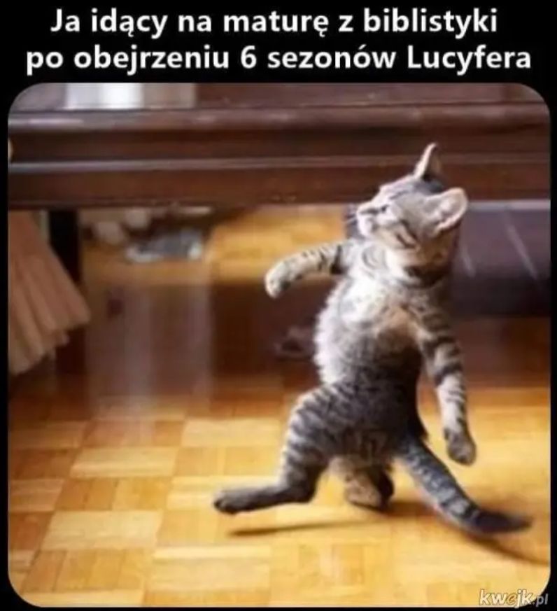 Memy matura 2026