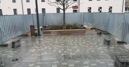 Kasztanowiec na pl. Litewskim nie przetrwał zimy. Trzeba było go wymienić