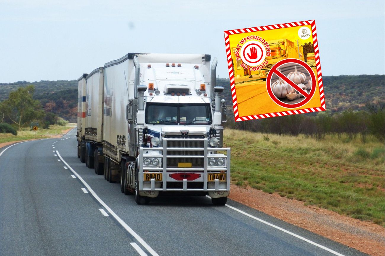 Chiński czosnek z zakazem wjazdu do Polski. Wykryli nagminny błąd
