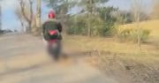 Borowe: Skatował psa, ciągnąc go za motorowerem