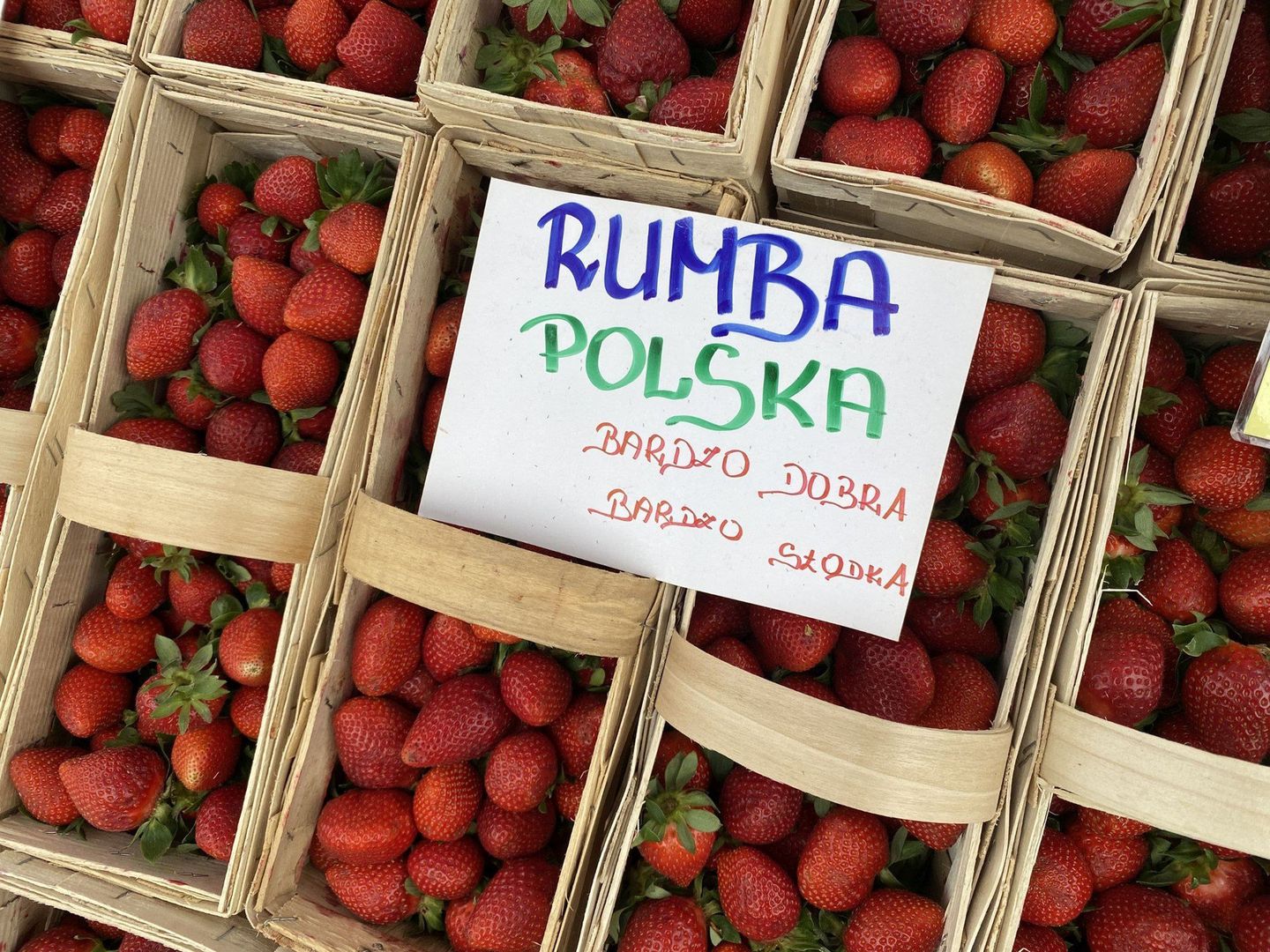 Polska truskawka rumba.
