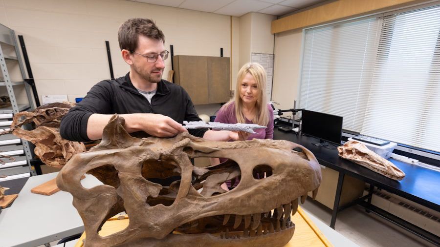 Paleontolodzy znaleźli najbliższego przodka słynnego T. rexa