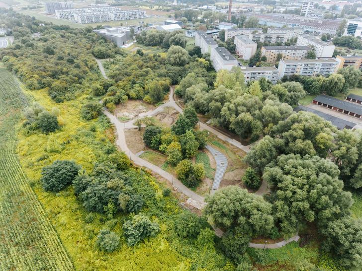 Nowy park na Międzytorzu nabiera kształtów. Będzie pierwsze takie boisko w Płocku