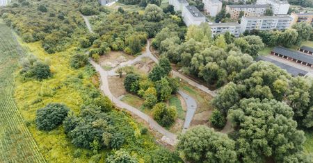 Nowy park na Międzytorzu nabiera kształtów. Będzie pierwsze takie boisko w Płocku