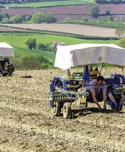 Wrocław. Nowi mieszkańcy wsi mają dość rolników. Wiele konfliktów muszą rozstrzygać sądy