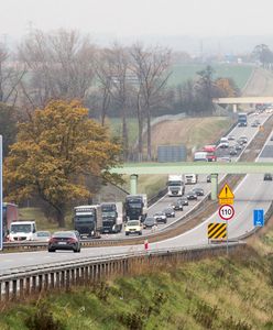 Gruzini szli po autostradzie A4. Okazało się, że to złodzieje