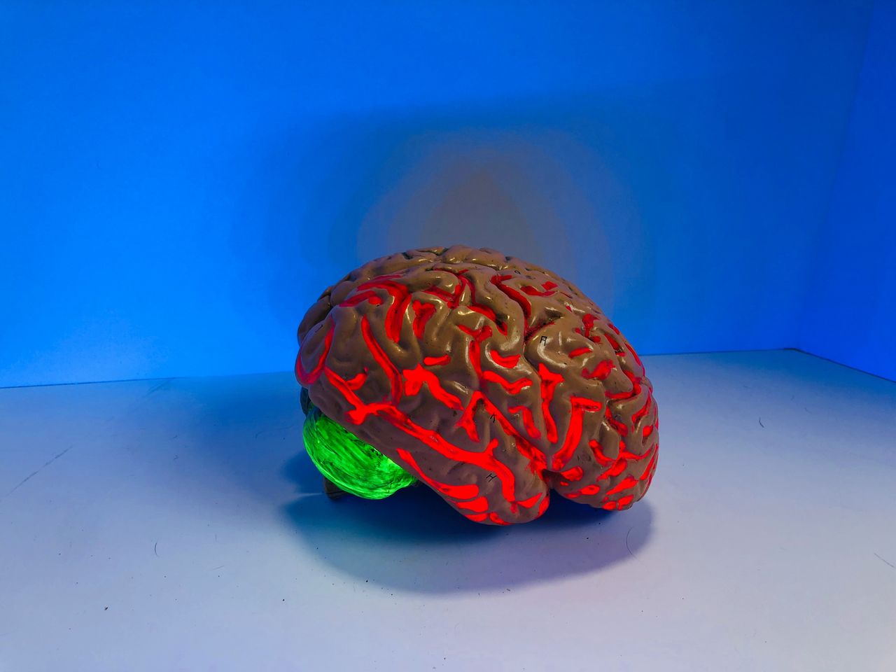 Harvard and Google's breakthrough study unveils new secrets of the brain
