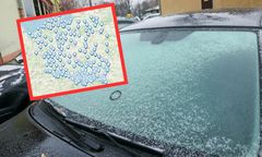 "Pierwsza taka zimna noc". Oto co pokazały termometry w Białowieży