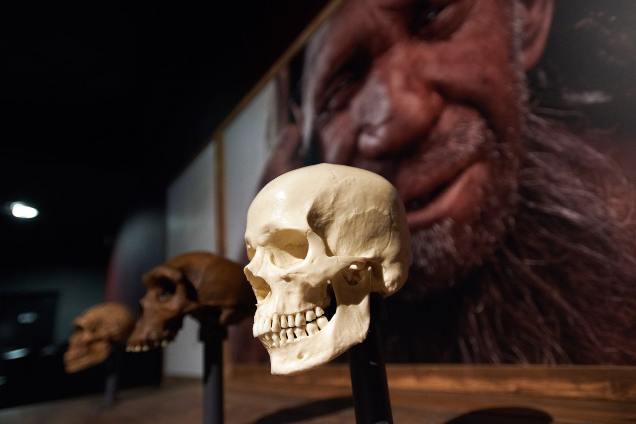 Nowe znalezisko archeologów. Wykryto ślady obecności neandertalczyków