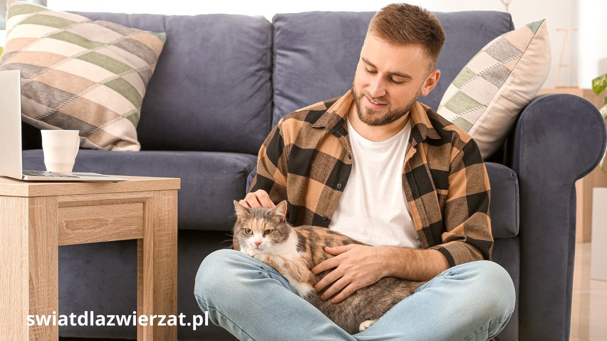 koci i psi tata dzien ojca