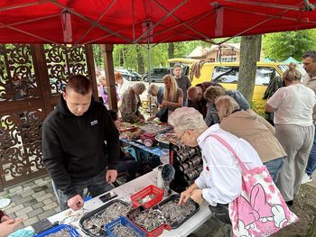 Jarmark spalski - niedziela, 6 lipca 2025. Największy kiermasz staroci w regionie już dziś!