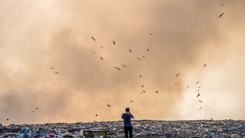 fot. Bakhrom Tursunov from Pixabay