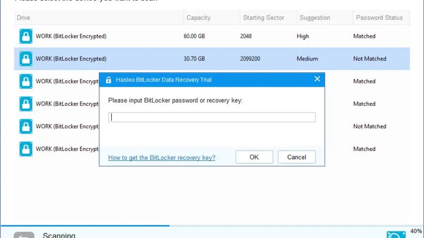 Hasleo BitLocker Data Recovery