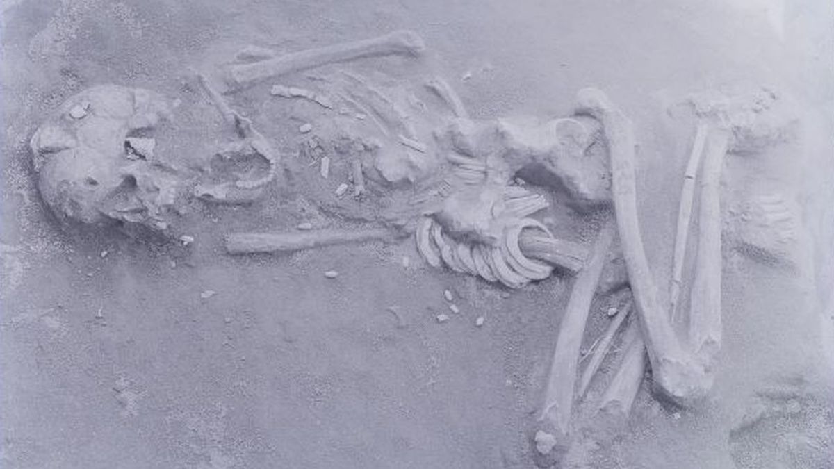 Szczątki przedstawicieli ludu Hirota odsłaniają kolejne tajemnice.