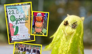 Żyją z uprawy ogórków. Ludzie wywożą po kilkanaście wiader