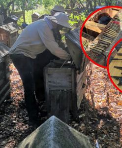 80-letni pszczelarz z Mazowsza w rękach policji. To ukrył w pasiece