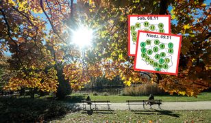 Taka będzie pogoda przez najbliższe dni. Prognoza na długi weekend