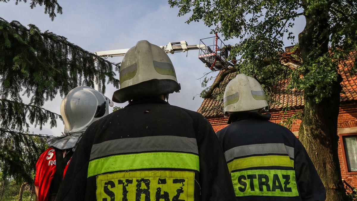 Zdjęcie ilustracyjne 