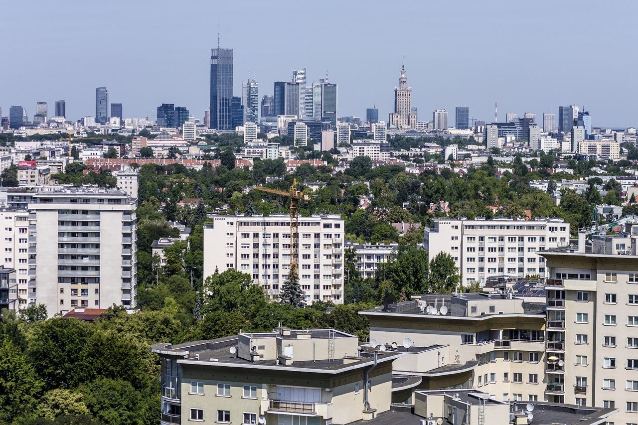 Polskie firmy. Rosnąca liczba niewypłacalności mimo wzrostu PKB