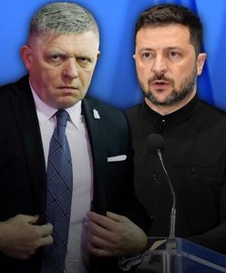 Jeszcze jeden kraj odrzuca pomysł Trumpa. "Nie będziemy dostarczać"