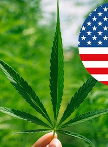 Nowe przepisy dotyczące marihuany w USA? Departament zdrowia ma plan