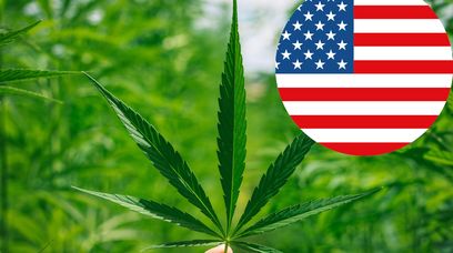 Nowe przepisy dotyczące marihuany w USA? Departament zdrowia ma plan