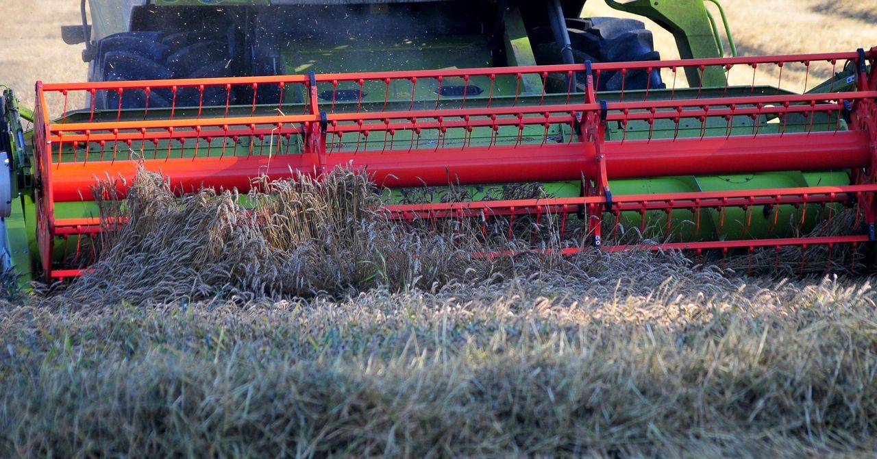 Tyle wynosi płatność dla małych gospodarstw. Niedługo pierwszy przelew