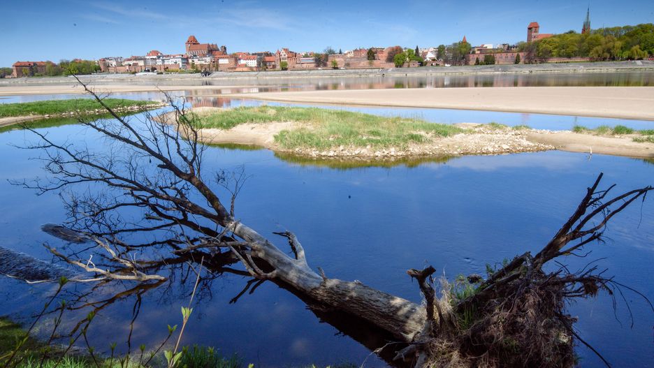 Susza w Polsce będzie rekordowa. Hydrolog ostrzega, że zasoby wody mamy bardzo małe