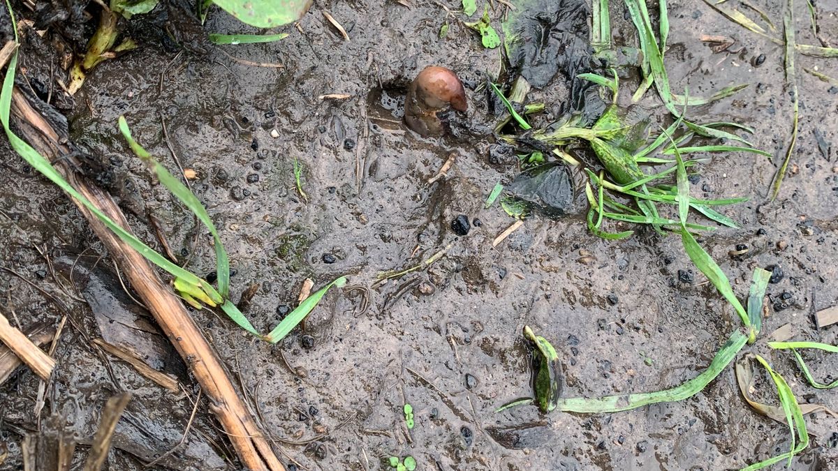 Zdjęcie dnia. Fotografia, która przeraziła i zmyliła policjantów 1