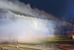 Pożar w Dąbkowej Parowej. Policja ratowała krowy