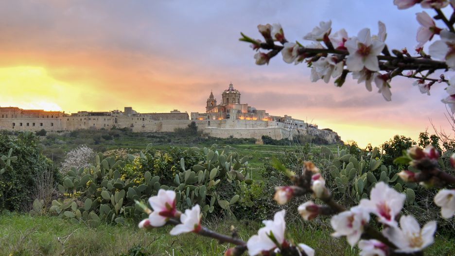Mdina robi wrażenie