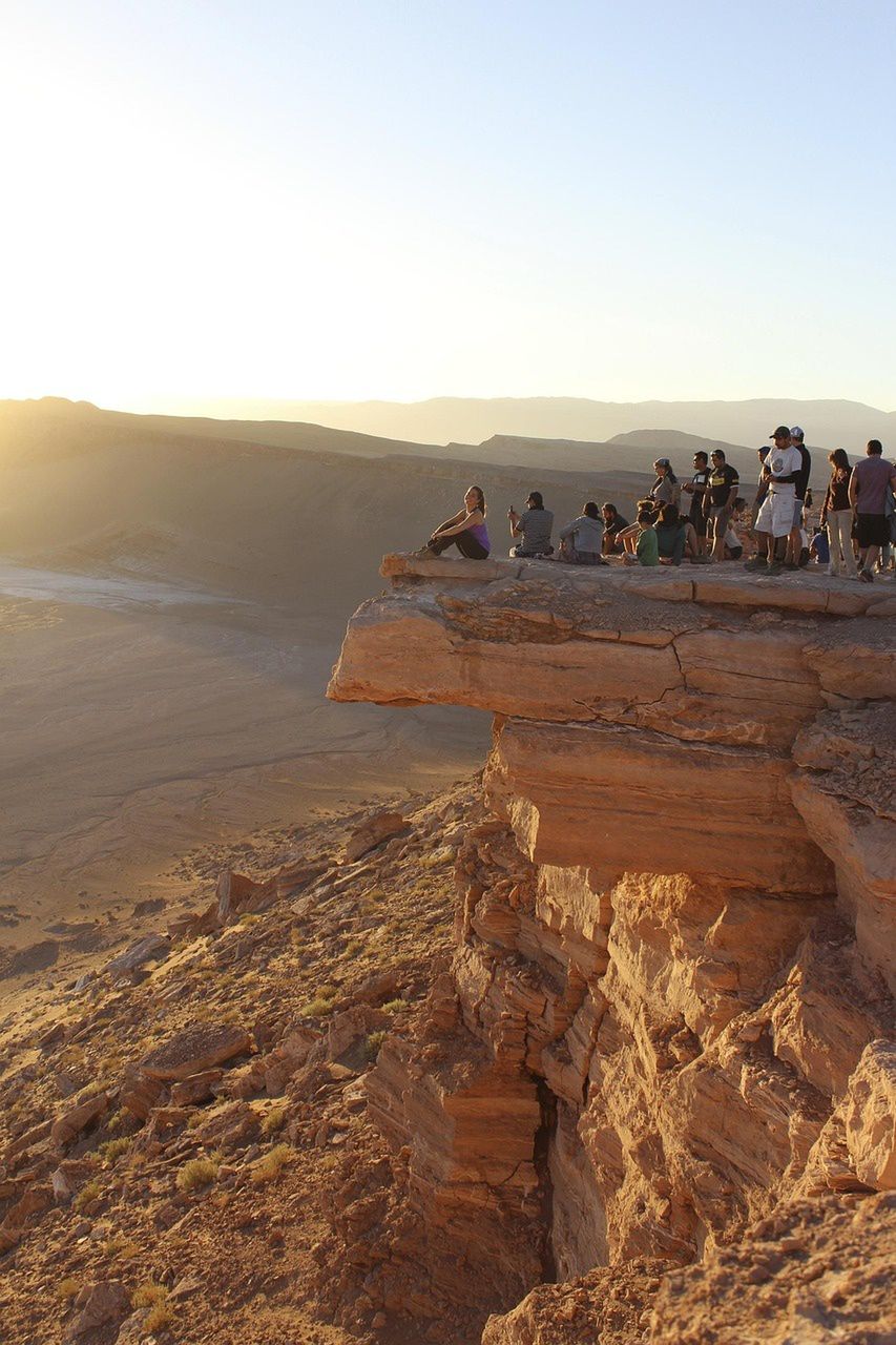 Atakama w pełnym rozkwicie. Rzadkie kwiaty pokryły najsuchszą pustynię świata
