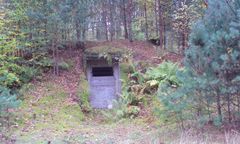 Afera z wycinką Puszczy Bukowej. Leśnicy zabrali głos