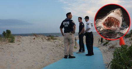 50-latka ugryziona przez rekina na popularnej plaży. Rozszarpał jej nogę