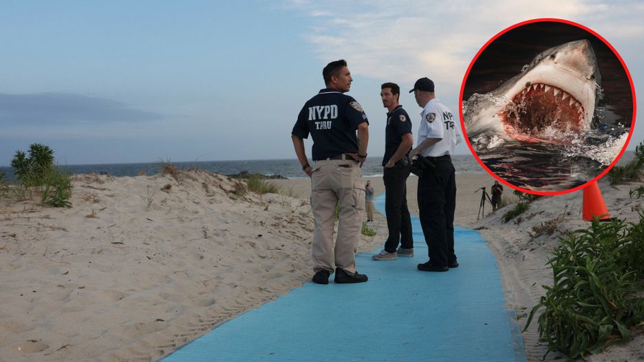 Służby na plaży Rockaway 
