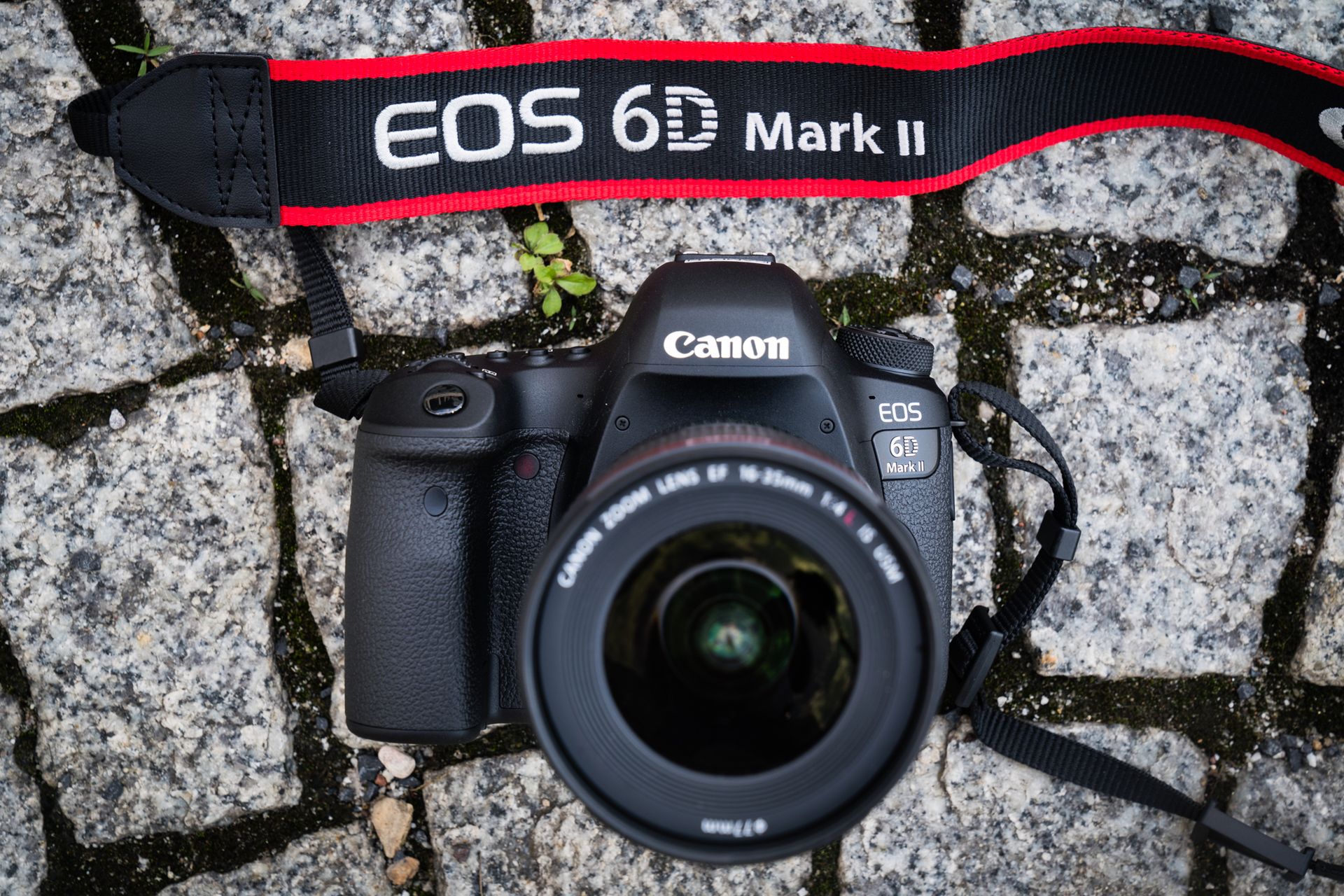 Canon EOS 6D Mark II - budżetowa pełna klatka powraca. Pierwsze wrażenia 12