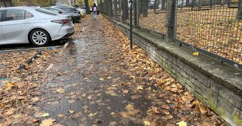 Łódź: Liście na chodnikach. Kto odpowiada za ich sprzątanie?