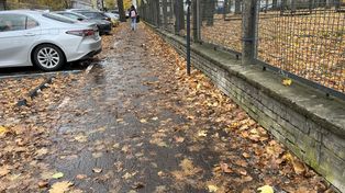 Łódź: Liście na chodnikach. Kto odpowiada za ich sprzątanie?