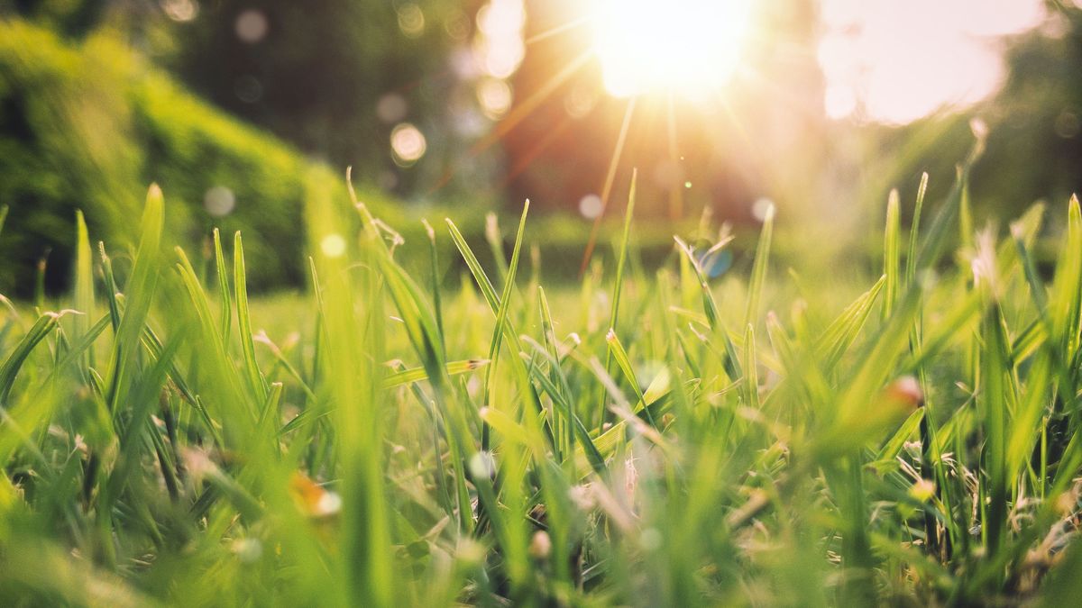 Kiedy rozpoczyna się wiosna?